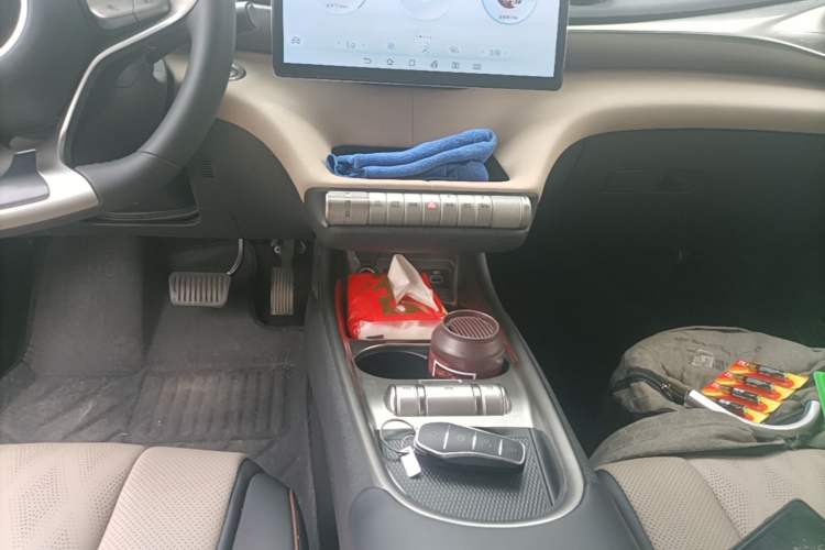 Used BYD Dolphin 2025 420km Free Edition Gear Lever