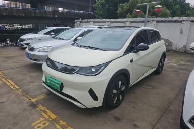 Used BYD Dolphin 2025 Intelligent Driving Version 410 km Fashion Edition