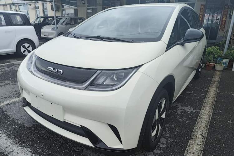 Used BYD Dolphin 2025 420km Free Edition Guazi used car, China used car export, Used car for sale, Used  cars, Cheapest cars for sale