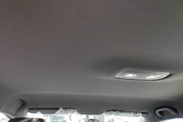 Used BYD Dolphin 2025 420km Free Edition Headliner