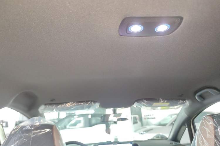 Used BYD Dolphin 2025 420km Free Edition Headliner