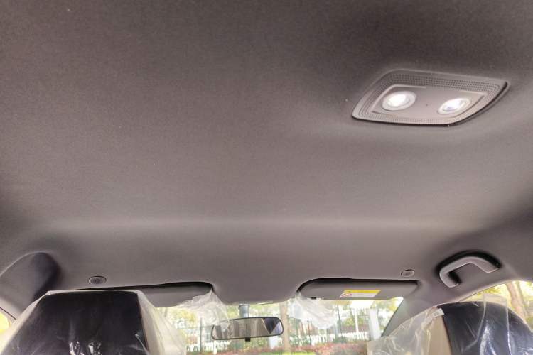 Used BYD Dolphin 2025 420km Free Edition Headliner