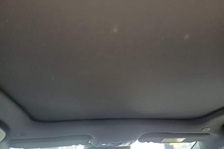 Used BYD Dolphin 2025 Intelligent Driving Version 410 km Fashion Edition Headliner