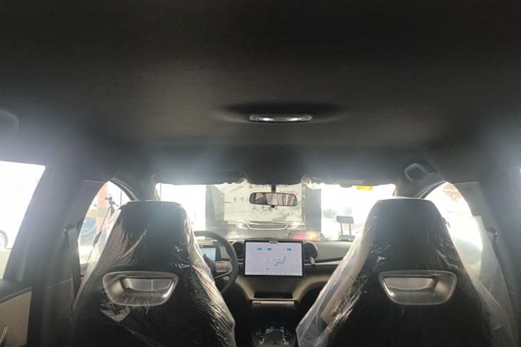 Used BYD Dolphin 2025 420km Free Edition Headliner