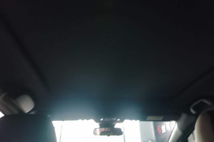 Used BYD Dolphin 2025 420km Fashion Edition Headliner
