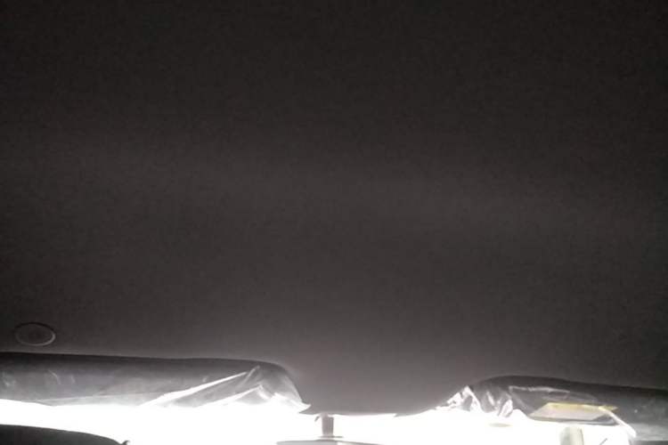 Used BYD Dolphin 2025 420km Free Edition Headliner