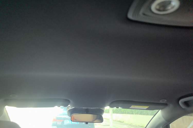 Used BYD Dolphin 2025 Smart Drive Version 420 km Freedom Edition Headliner