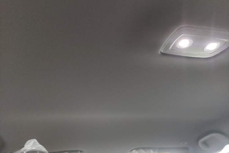 Used BYD Dolphin 2025 420km Free Edition Headliner