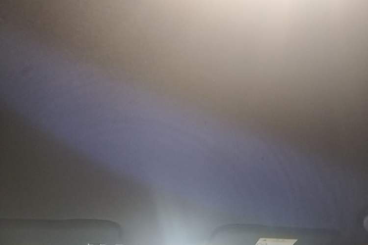 Used BYD Dolphin 2025 Smart Drive Version 420 km Freedom Edition Headliner