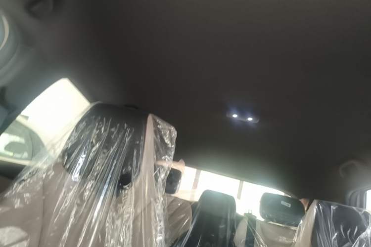 Used BYD Dolphin 2025 420km Free Edition Headliner