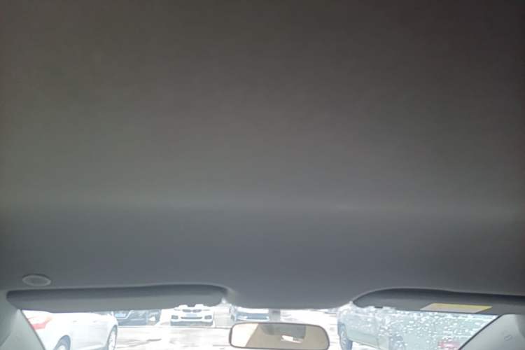 Used BYD Dolphin 2025 520km Range Knight Edition Headliner