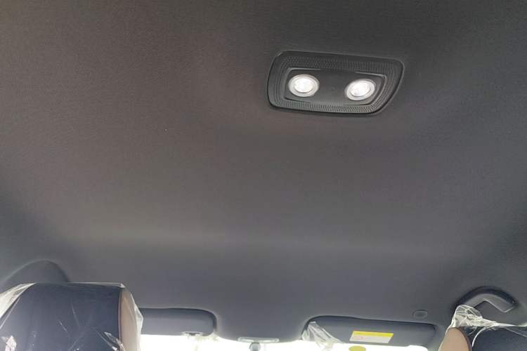 Used BYD Dolphin 2025 420km Free Edition Headliner
