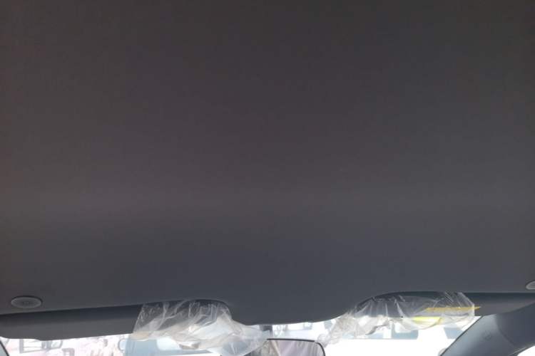 Used BYD Dolphin 2025 420km Free Edition Headliner
