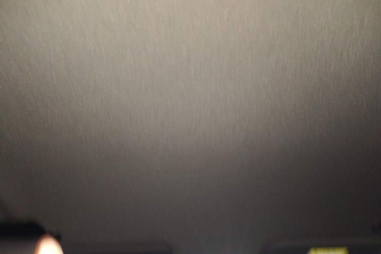 Used BYD Dolphin 2025 420km Free Edition Headliner