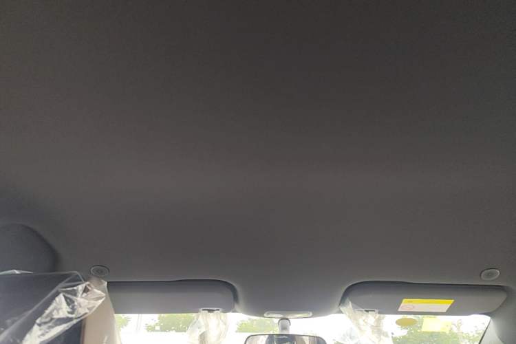 Used BYD Dolphin 2025 420km Free Edition Headliner