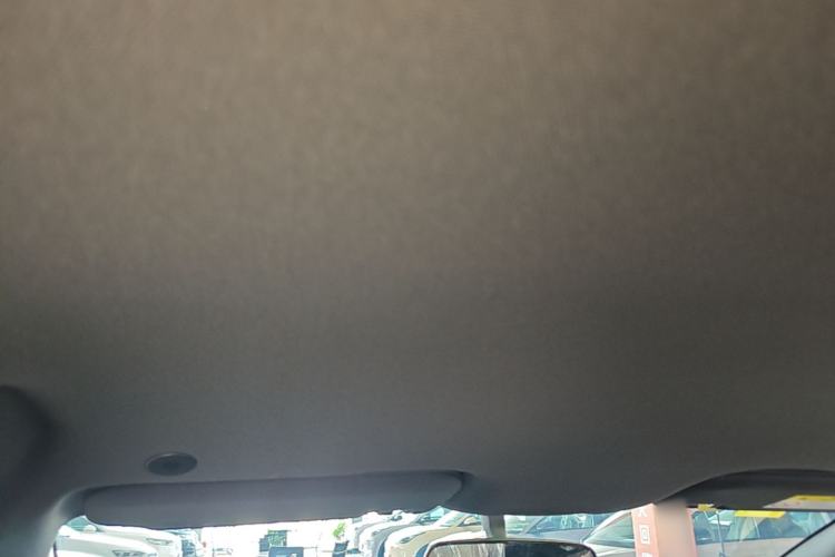 Used BYD Dolphin 2025 420km Free Edition Headliner