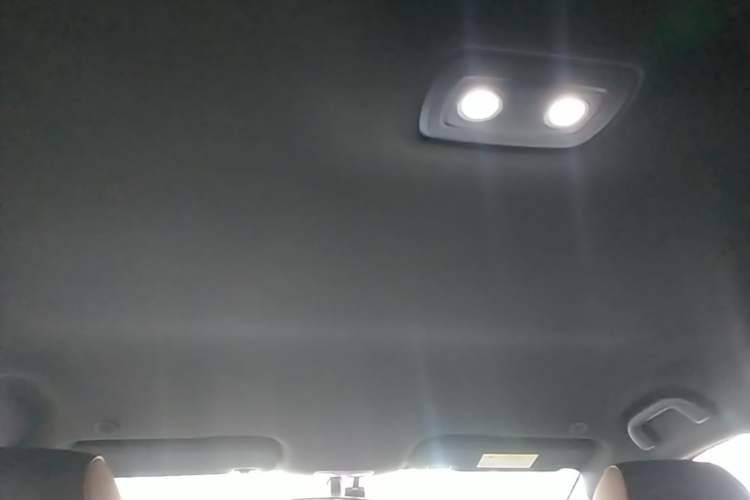 Used BYD Dolphin 2025 420km Free Edition Headliner