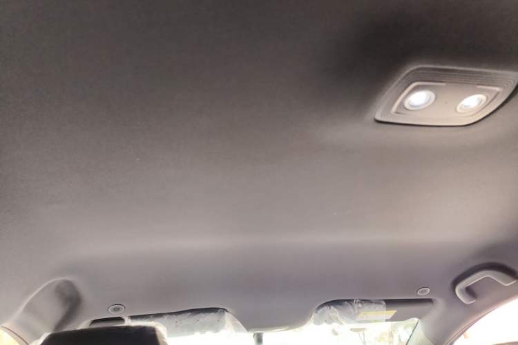 Used BYD Dolphin 2025 420km Free Edition Headliner