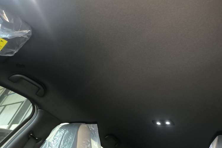Used BYD Dolphin 2025 420km Free Edition Headliner