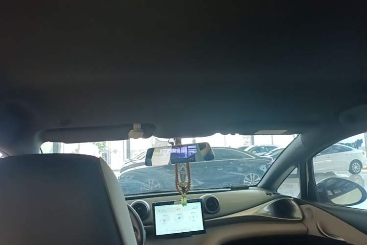 Used BYD Dolphin 2025 420km Active Version Headliner
