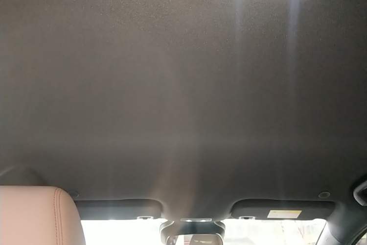 Used BYD Dolphin 2025 Smart Drive Version 420 km Freedom Edition Headliner