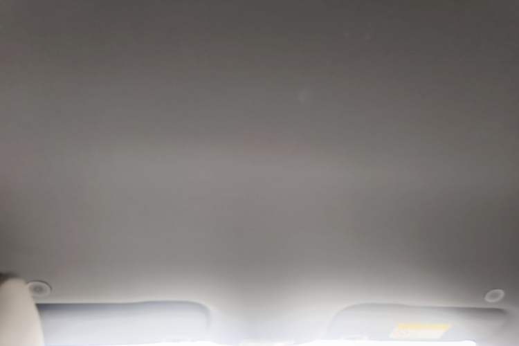 Used BYD Dolphin 2025 420km Free Edition Headliner