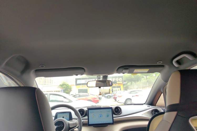 Used BYD Dolphin 2025 420km Active Version Headliner