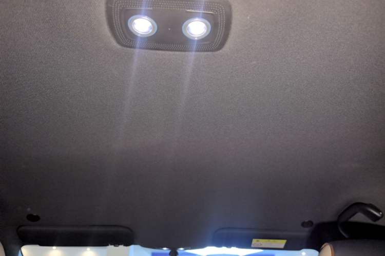 Used BYD Dolphin 2025 420km Active Version Headliner