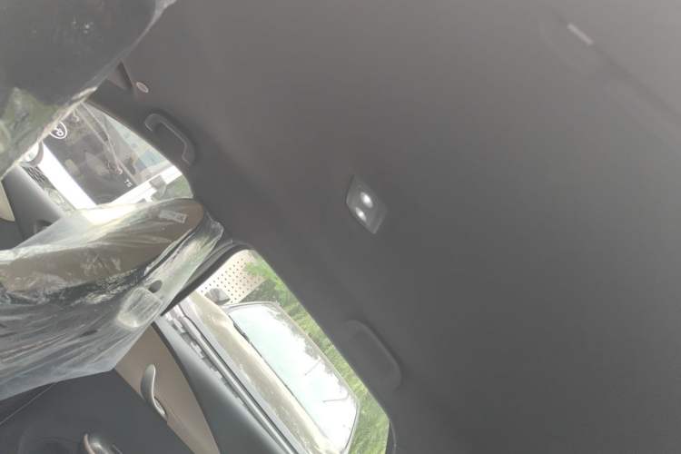 Used BYD Dolphin 2025 420km Free Edition Headliner