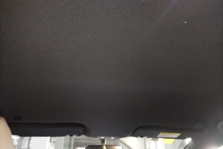 Used BYD Dolphin 2025 420km Free Edition Headliner