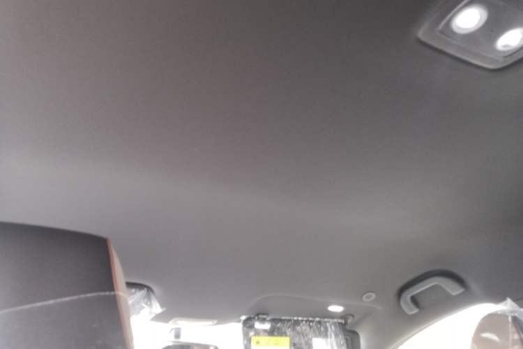 Used BYD Dolphin 2025 420km Free Edition Headliner