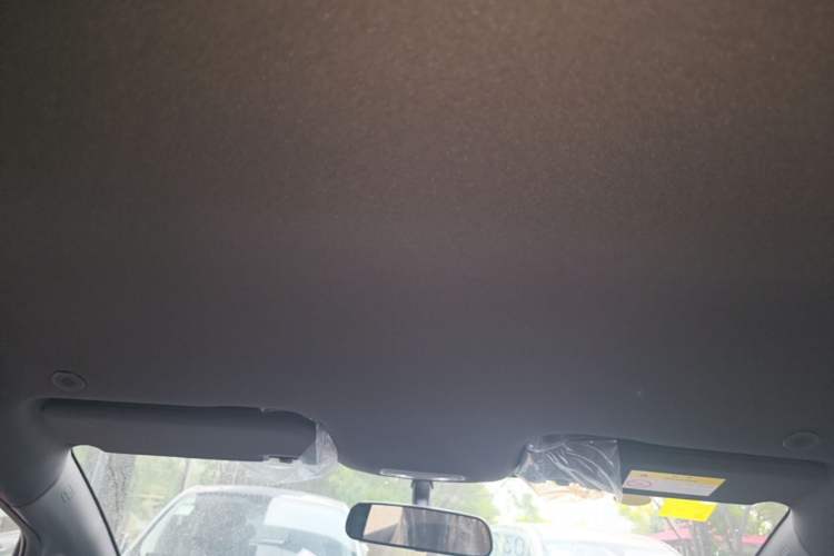 Used BYD Dolphin 2025 420km Free Edition Headliner