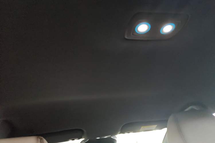 Used BYD Dolphin 2025 Smart Drive Version 420 km Freedom Edition Headliner
