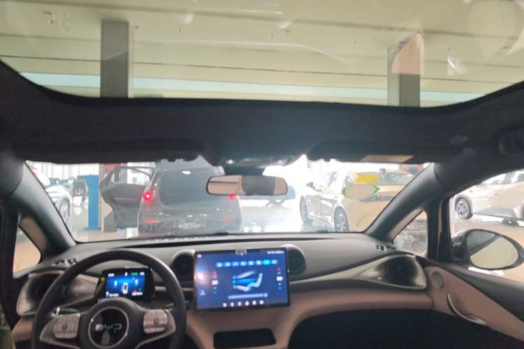 Used BYD Dolphin 2025 420km Fashion Edition Headliner