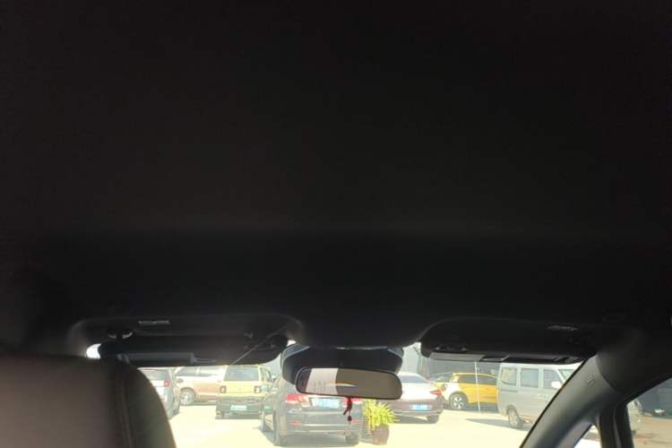 Used BYD Dolphin 2025 Smart Drive Version 420 km Freedom Edition Headliner