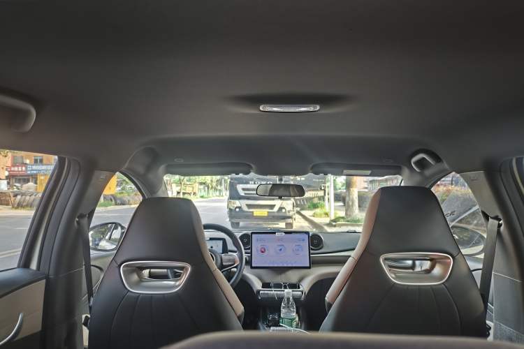 Used BYD Dolphin 2025 420km Free Edition Headliner