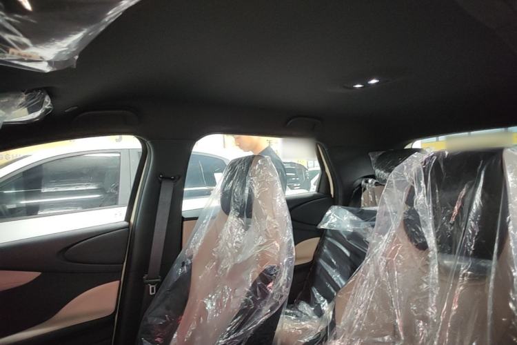 Used BYD Dolphin 2025 420km Free Edition Headliner