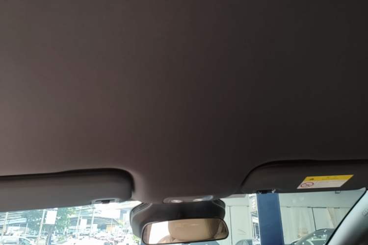 Used BYD Dolphin 2025 Smart Drive Version 420 km Freedom Edition Headliner