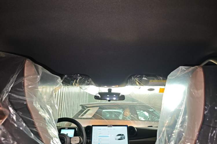 Used BYD Dolphin 2025 420km Free Edition Headliner