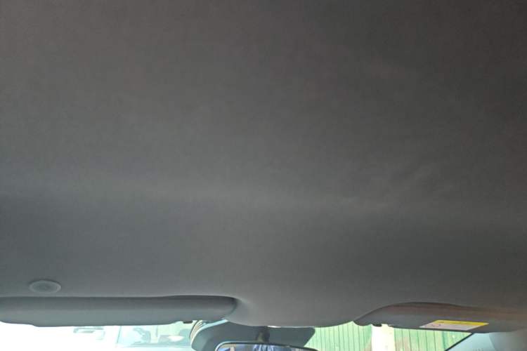 Used BYD Dolphin 2025 Smart Drive Version 420 km Freedom Edition Headliner