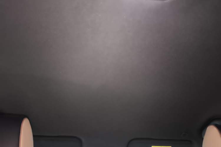Used BYD Dolphin 2025 420km Free Edition Headliner