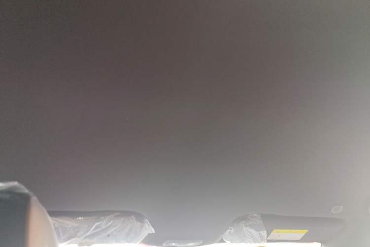 Used BYD Dolphin 2025 420km Free Edition Headliner