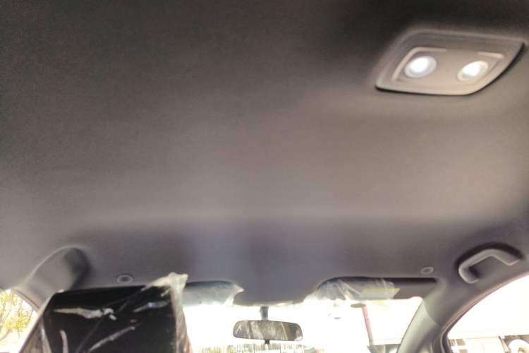 Used BYD Dolphin 2025 420km Free Edition Headliner