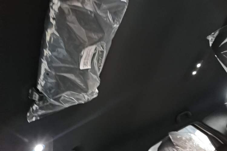 Used BYD Dolphin 2025 420km Free Edition Headliner