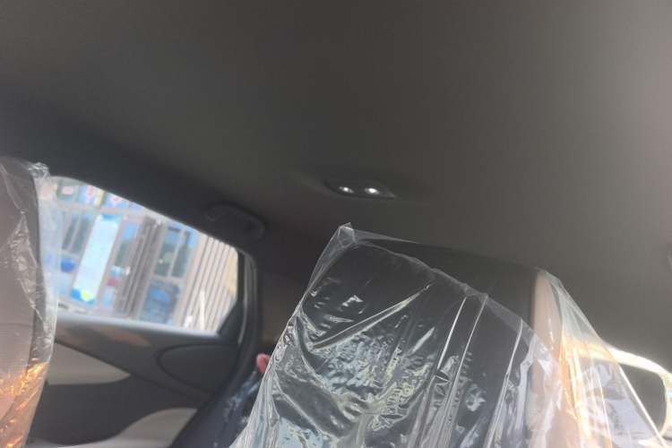 Used BYD Dolphin 2025 420km Free Edition Headliner