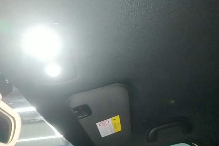 Used BYD Dolphin 2025 420km Free Edition Headliner