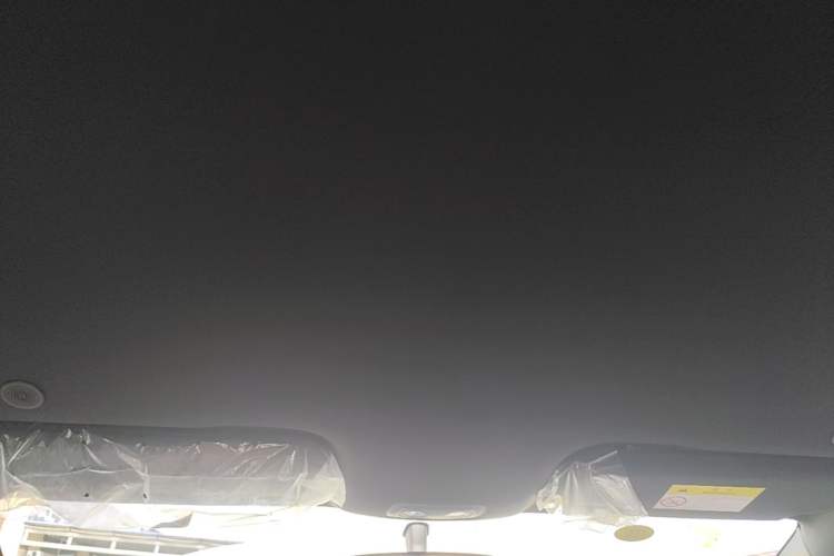 Used BYD Dolphin 2025 420km Free Edition Headliner