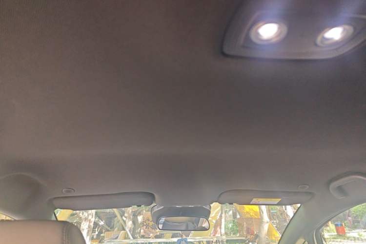 Used BYD Dolphin 2025 Smart Drive Version 420 km Freedom Edition Headliner