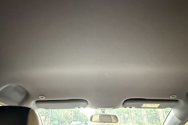Used BYD Dolphin 2025 420km Free Edition Headliner