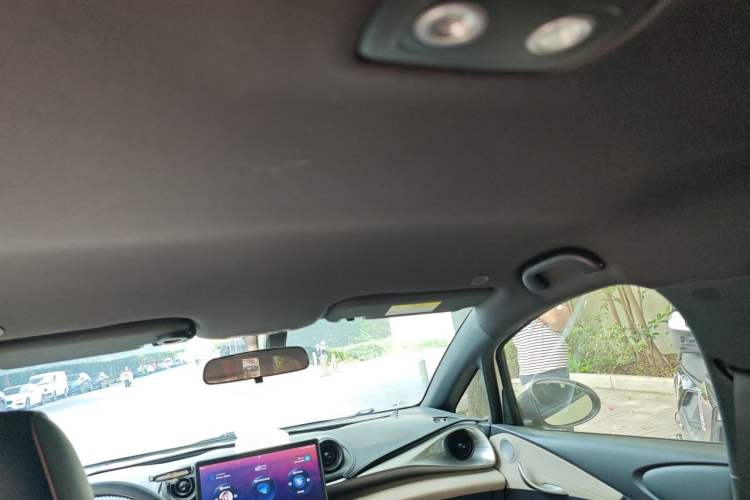 Used BYD Dolphin 2025 420km Free Edition Headliner